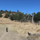 Illustration for article titled Toby Hike Day: Wellbarn Road to San Joaquin River Trail